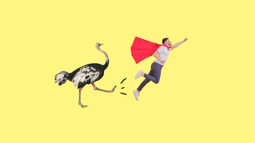 Шість українських стартапів, які змінять країну