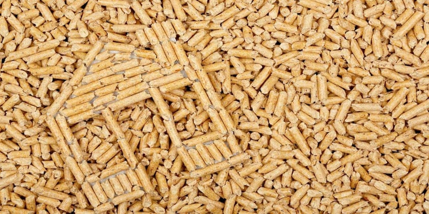 Агрофірма на Полтавщині відмовилась від газу і перейшла на біопаливо