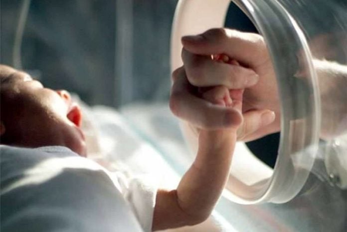 У Франківську студенти зібрали 150 тис. грн на медичне обладнання для передчасно народжених дітей