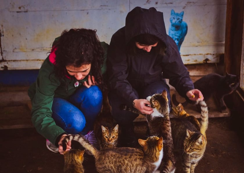 6 етичних способів провести День закоханих