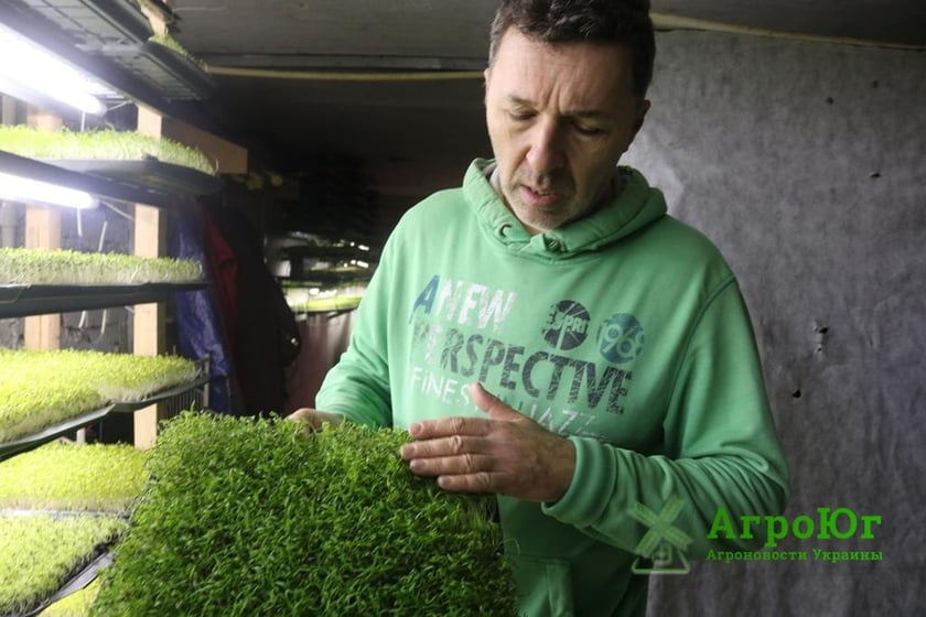 Як фермер з Миколаєва почав вирощувати мікрозелень першим в Україні