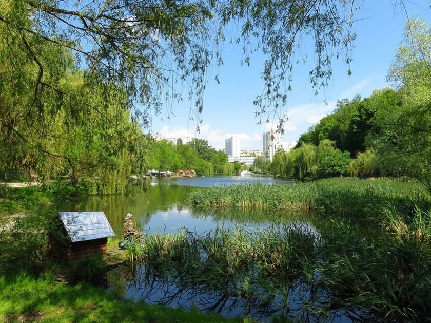 У Києві планують капремонт Голосіївського парку: яким він буде (ВІДЕО)