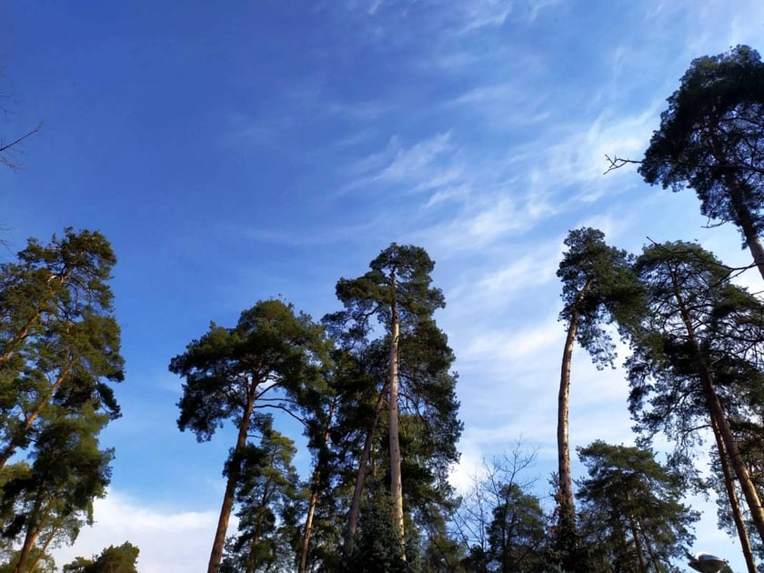 Яким буде після ремонту парк Партизанської слави в Києві