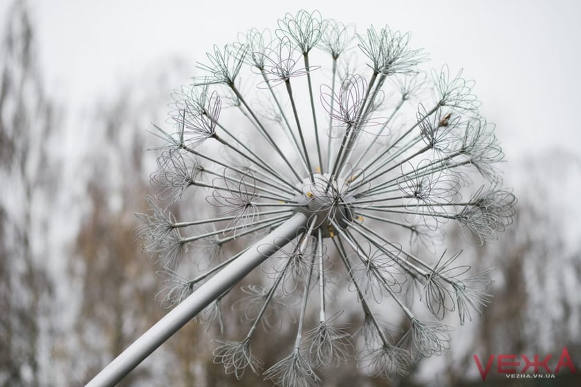 У Вінниці з’явиться фонтанна площа з “кульбабками”: проєкт