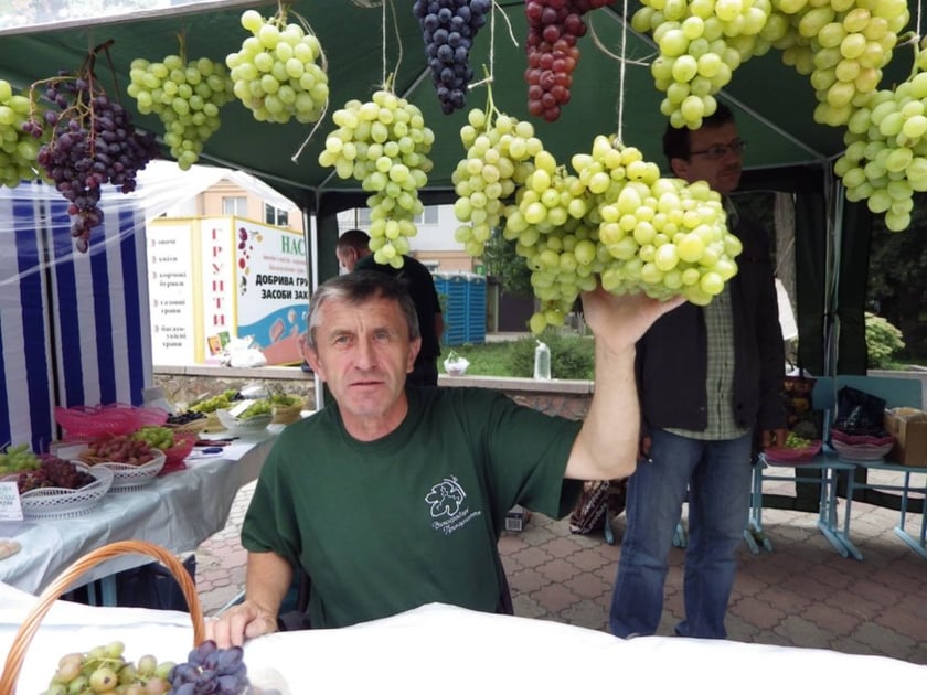 На Прикарпатті чоловік вирощує 20 сортів інжиру і “картопляне дерево”