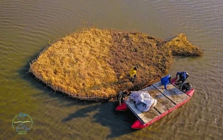На Тузловській Амазонії волонтери зробили екоострів для птахів