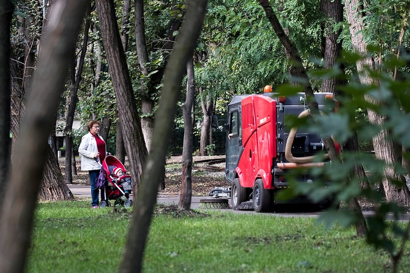 У Києві оновлюють парк “Сирецький”: як він зміниться