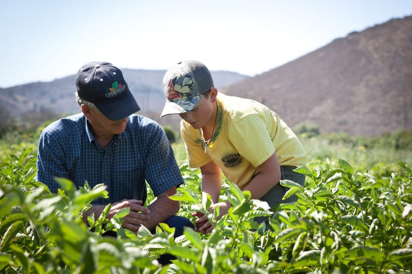 Фермери Львівщини об’єднуються в логістичний кооператив