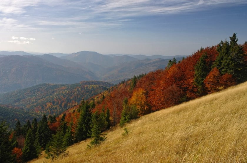 На Львівщині виділили майже 1,5 мільйона гривень на розвиток природного парку