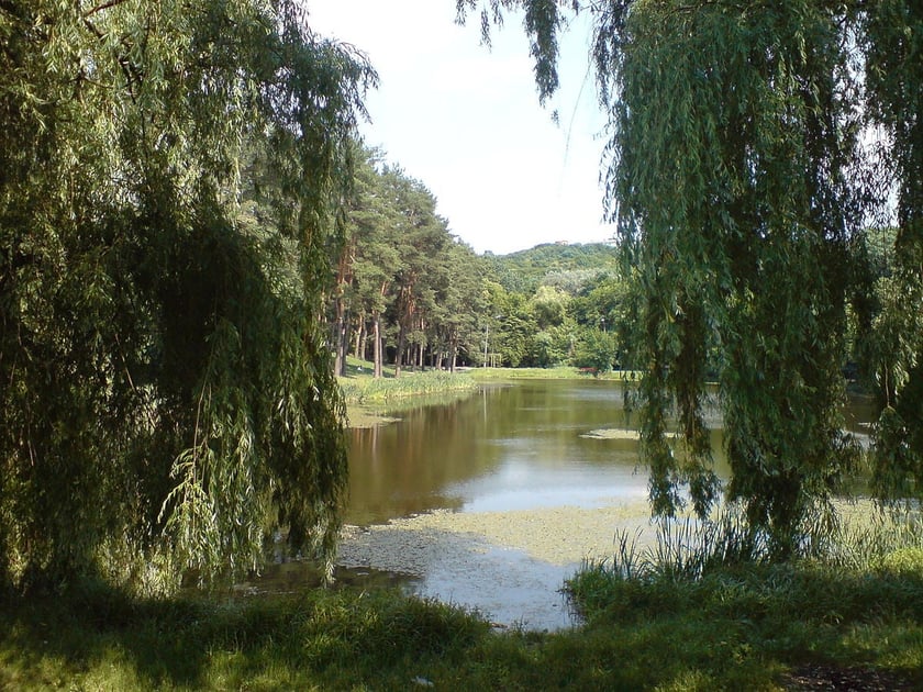 У Києві порахують всі малі річки і водойми