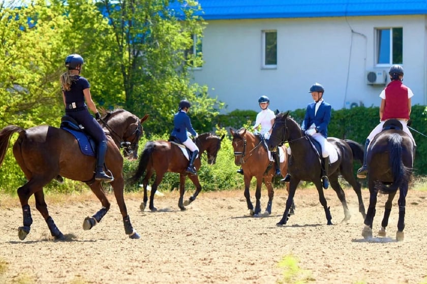 У Дніпрі відбувся міський чемпіонат з кінного спорту (ФОТО)