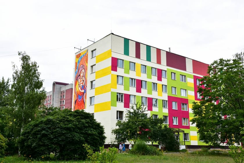 Відомий художник завершив малювати великий мурал у Чернігові (ФОТО)