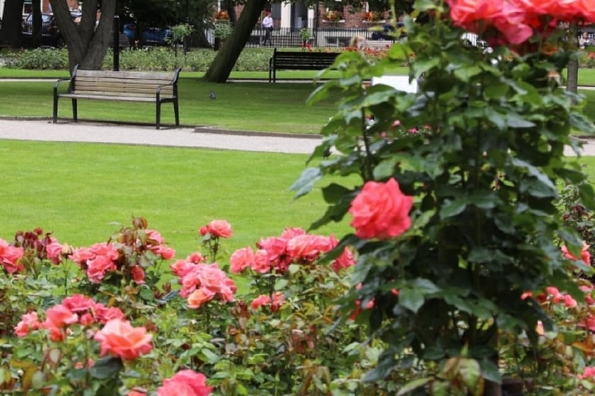 У Києві створять 8 нових скверів