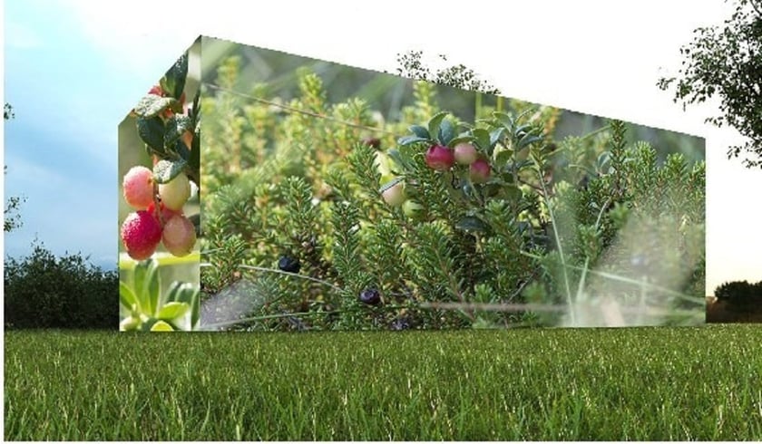 На Прикарпатті створюють  павільйон дикої природи