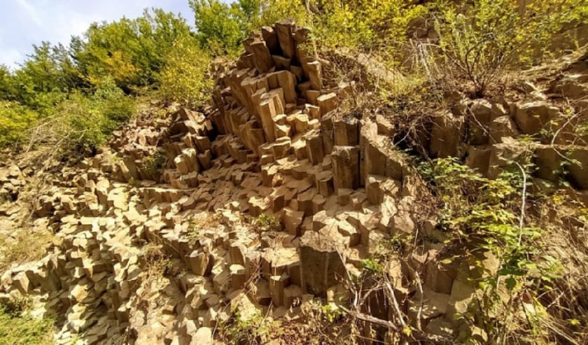 Показали унікальну природну фотозону неподалік Мукачева (ФОТО)