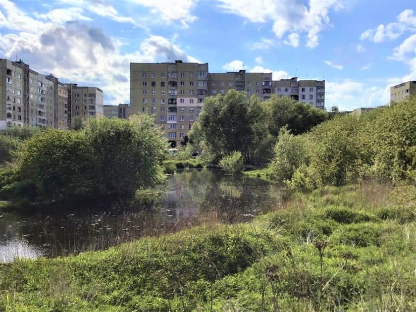 У Львові облаштують новий парк на 5 гектарів