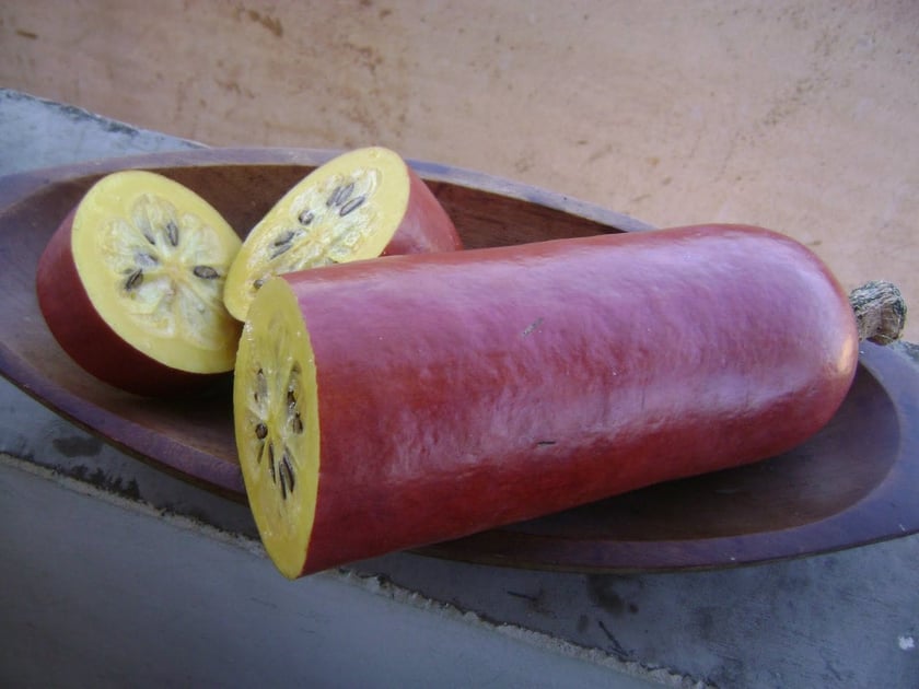 Фермер вирощує під Одесою екзотичну кассабанану