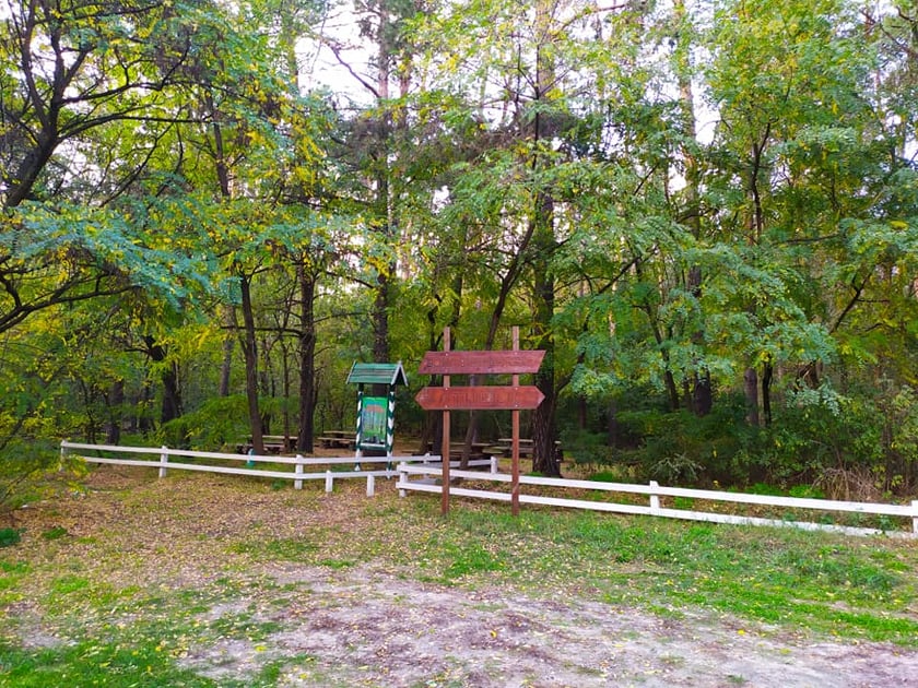 У київському лісопарку оновили дві зони відпочинку (ФОТО)