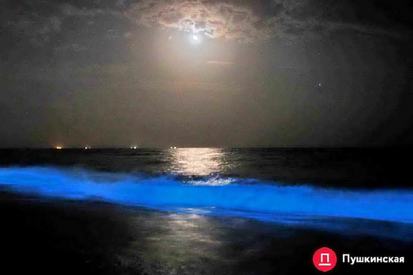 На Одещині море світиться блакиттю (ФОТО)