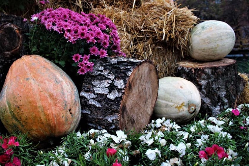 У Києві з’явилася нова фотозона до Гелловіну