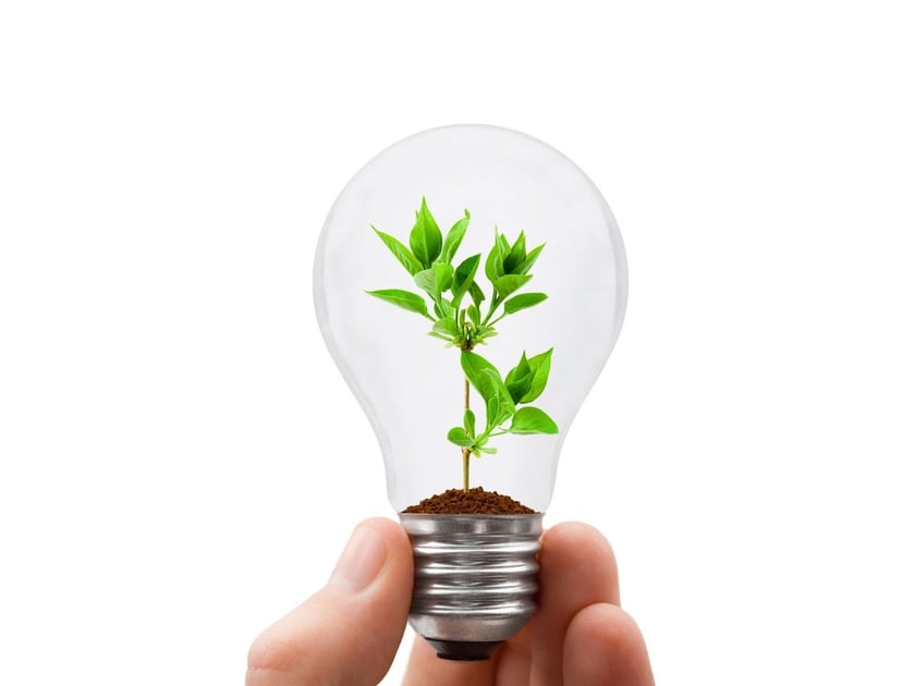 ЮНІСЕФ підтримає екологічні проєкти молоді з усієї України