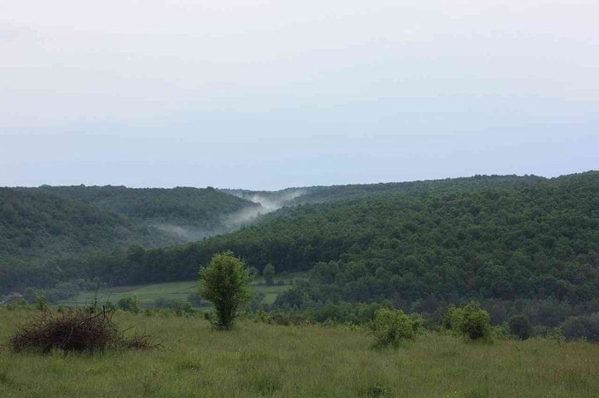 На Вінниччині збільшать територію Національного парку «Кармелюкове Поділля»