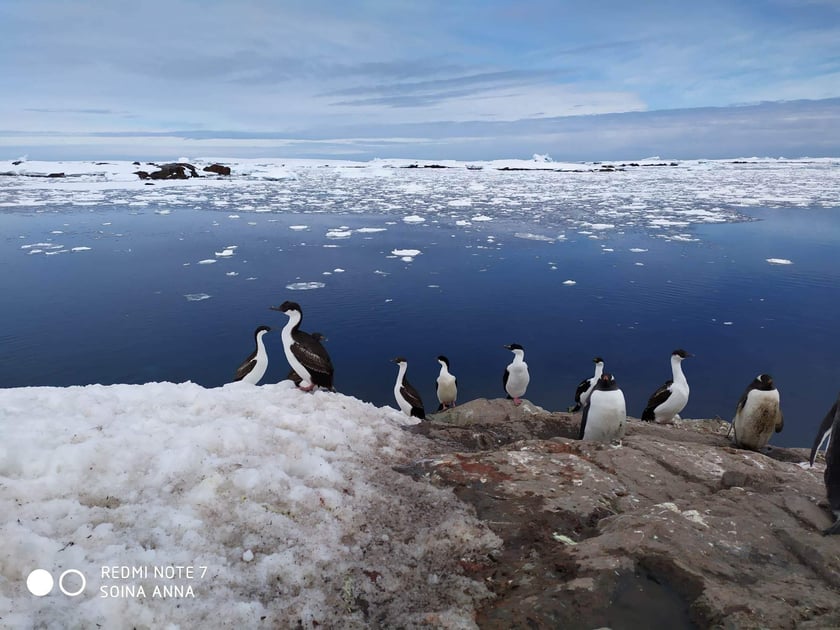Програму українських досліджень в Антарктиці продовжили на три роки