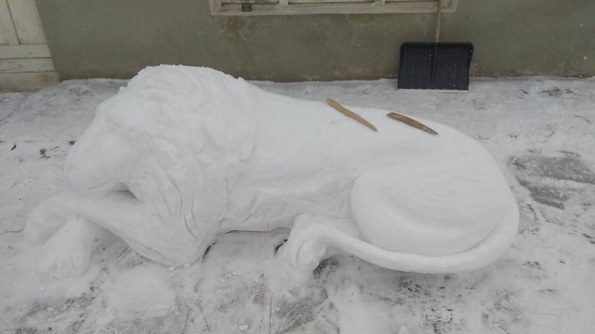 На Львівщині скульптор ліпить левів зі снігу (ФОТО)