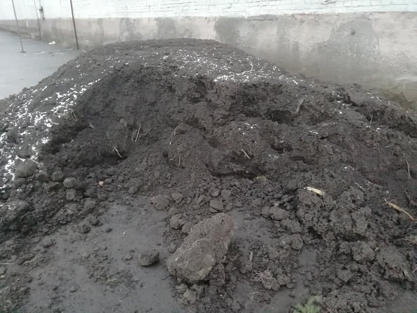 Киянам безкоштовно роздають чорнозем