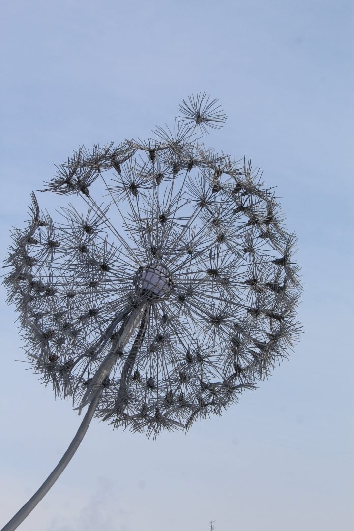 У Бердянську встановили металеву кульбабу заввишки 4 метри (ФОТО)
