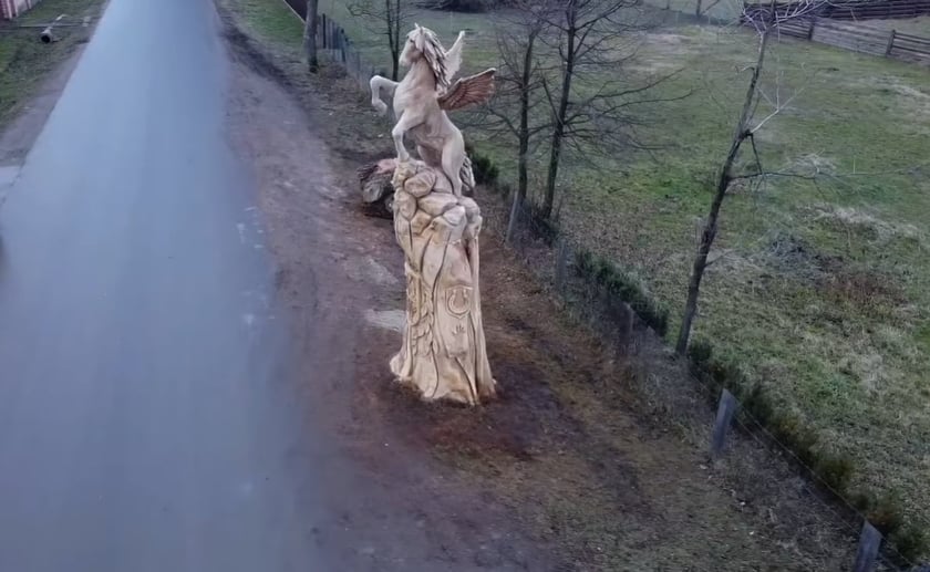 На Чернівеччині створили велику дерев’яну скульптуру зі старого дуба