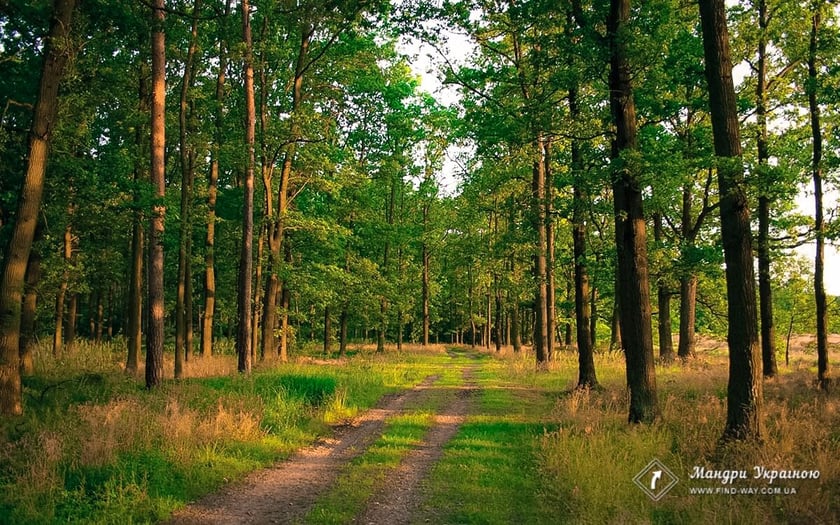 В Україні створюють ще один національний природний парк