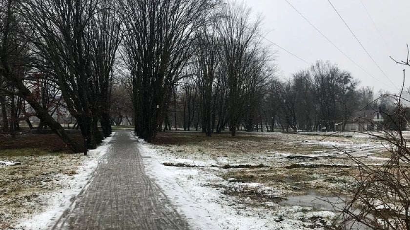 У парках Львова доріжки рятуватимуть від ожеледиці кавовою гущею