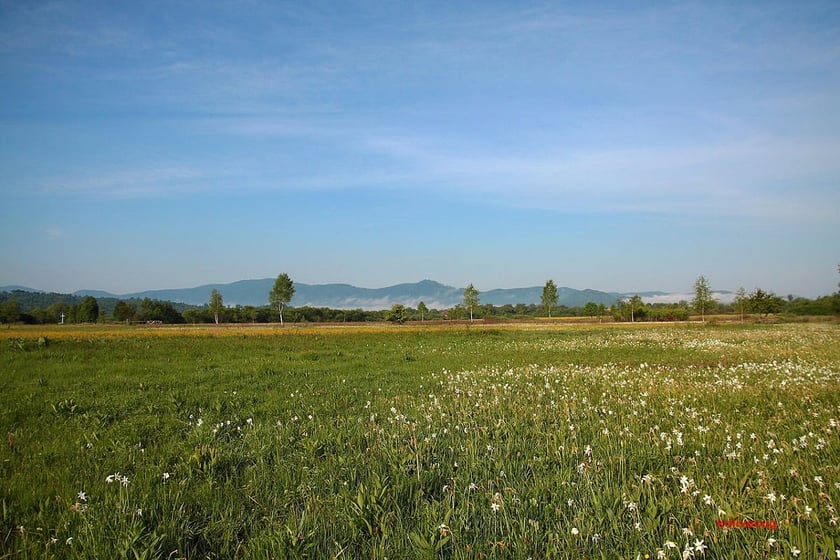 Закарпатське село-курорт показали з висоти пташиного лету (ВІДЕО)