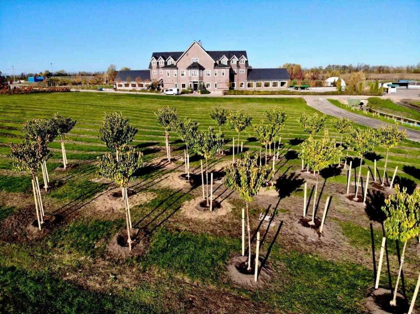 У Добропарку під Києвом можна висадити іменне дерево