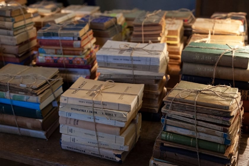 До України з Німеччини повернули унікальну бібліотеку з 1000 книг (ФОТО)