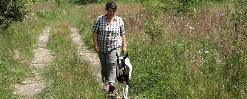На Прикарпатті переселенка з Донбасу створює відкриту молочну ферму