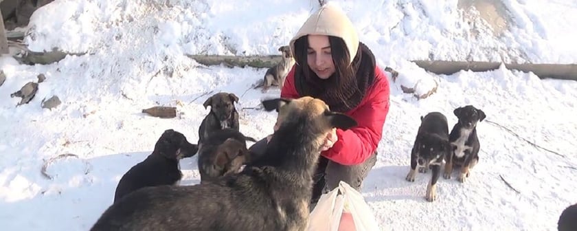 У Херсоні добровольці створили службу порятунку вуличних тварин