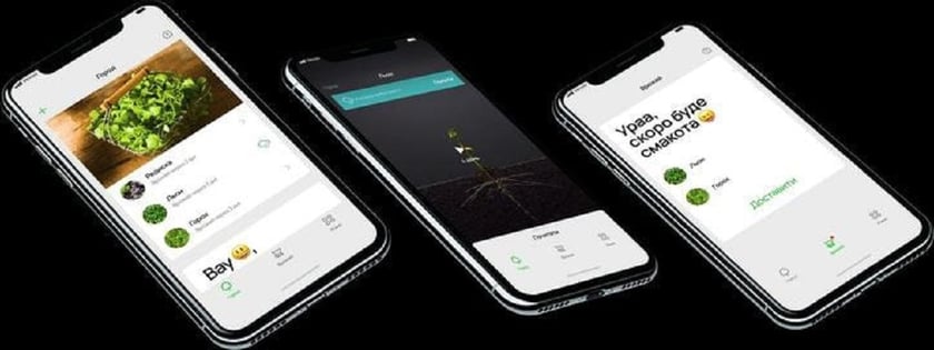 Український стартап створив віртуальну ферму, де можна виростити справжню зелень