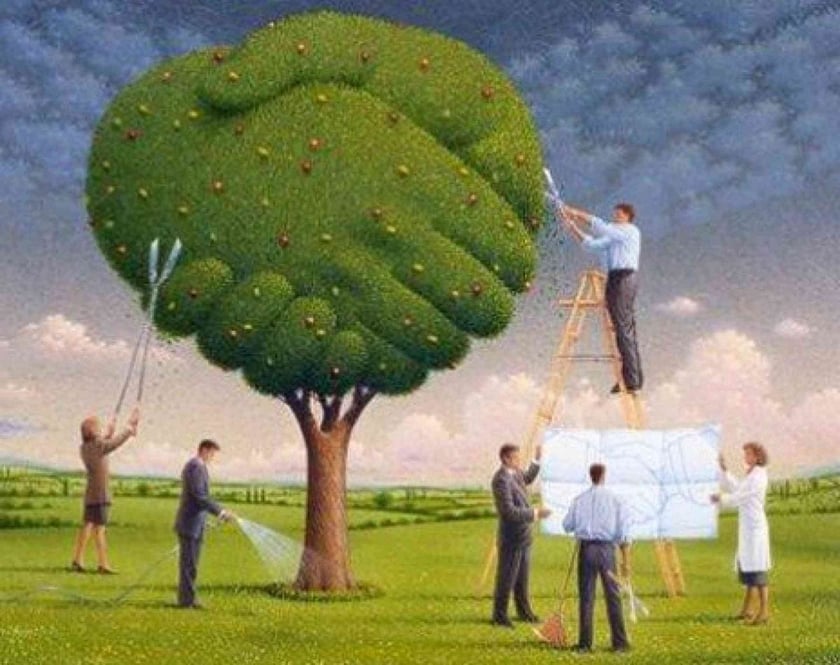 В Україні оголосили конкурс для соціальних підприємців