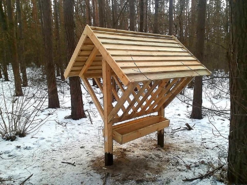 На Київщині активісти облаштували лісові «їдальні» для диких тварин