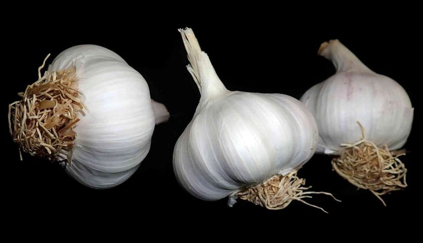 В Україні з’явиться торговельна платформа часнику