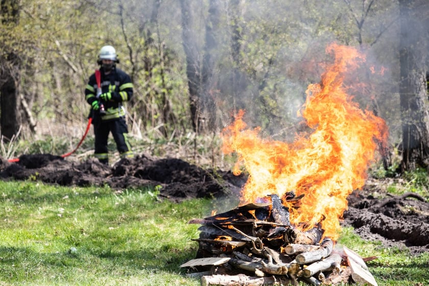 Як київські рятувальники вчилися протидіяти лісовим пожежам (ФОТО)