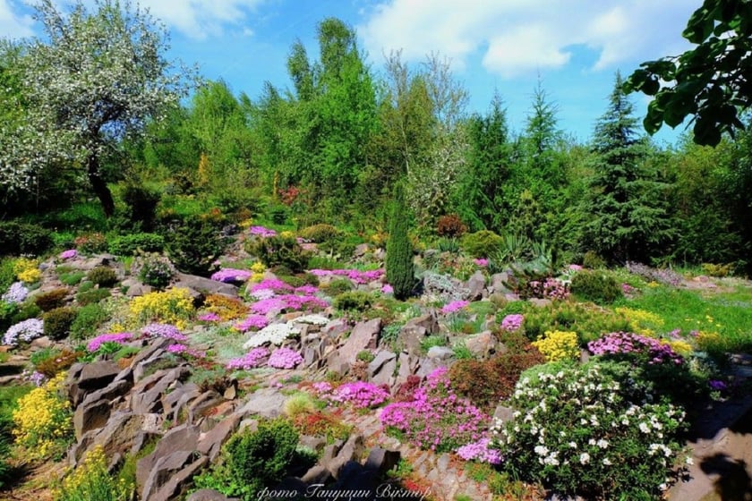 Біолог облаштував під Ужгородом найкращий в Україні альпінарій (ФОТО)