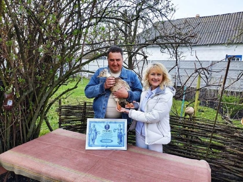 На Київщині качка Глаша встановила рекорд України