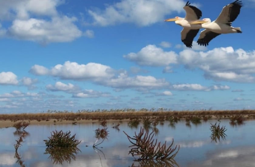 Українські фільми представлять на кінофестивалі Sunny Side of the DOC у Франції