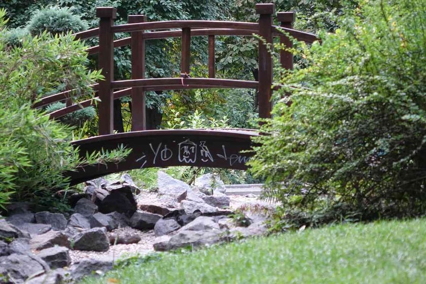 «Києве, мий» просить волонтерів долучитися до прибирання Поетичної галявини у ботсаду