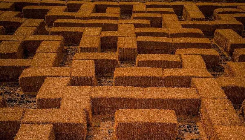 Солом’яний лабіринт і незвичні фото-зони: на Харківщині пройде цікавий фестиваль