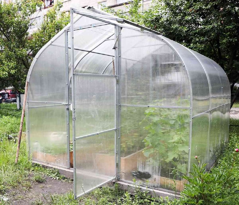 «Живи органічно»: у Львові встановили теплицю в дитсадку і розвивають міське городництво