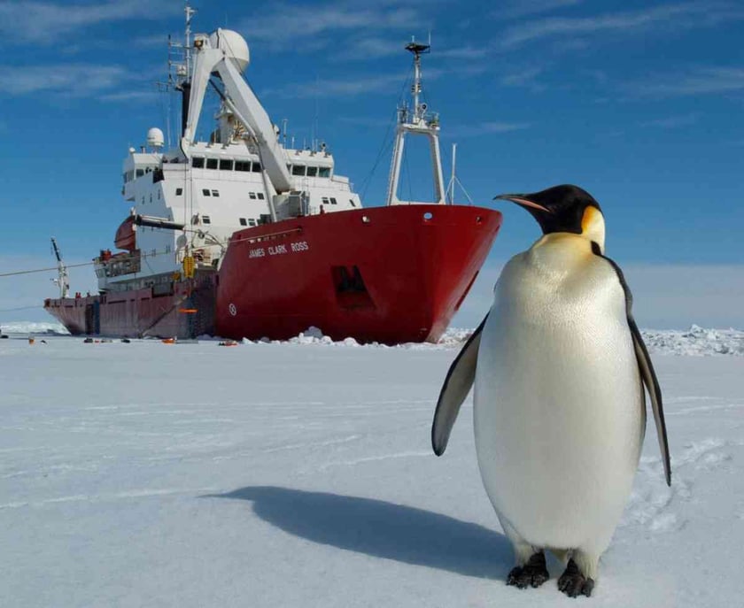 ПАР хоче вивчати Антарктику спільно з Україною